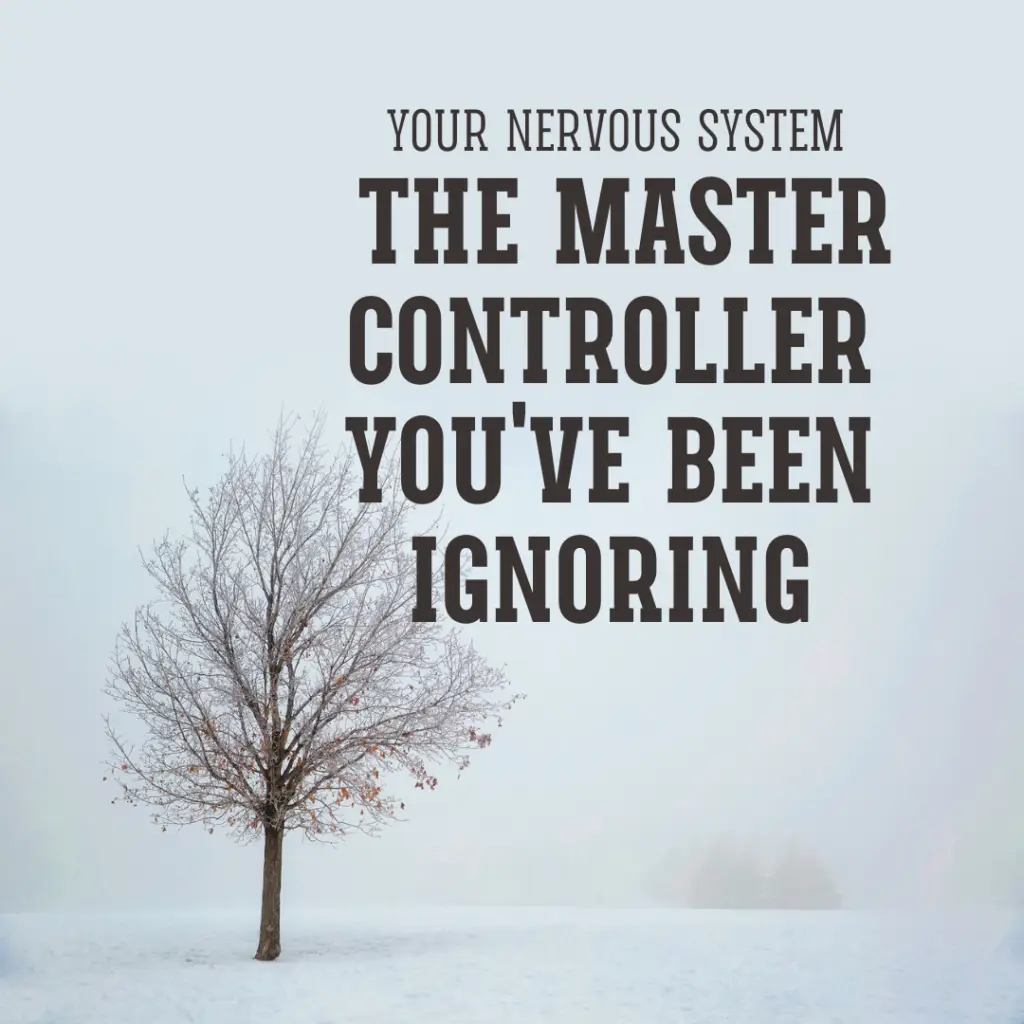 A leafless tree with a pale background