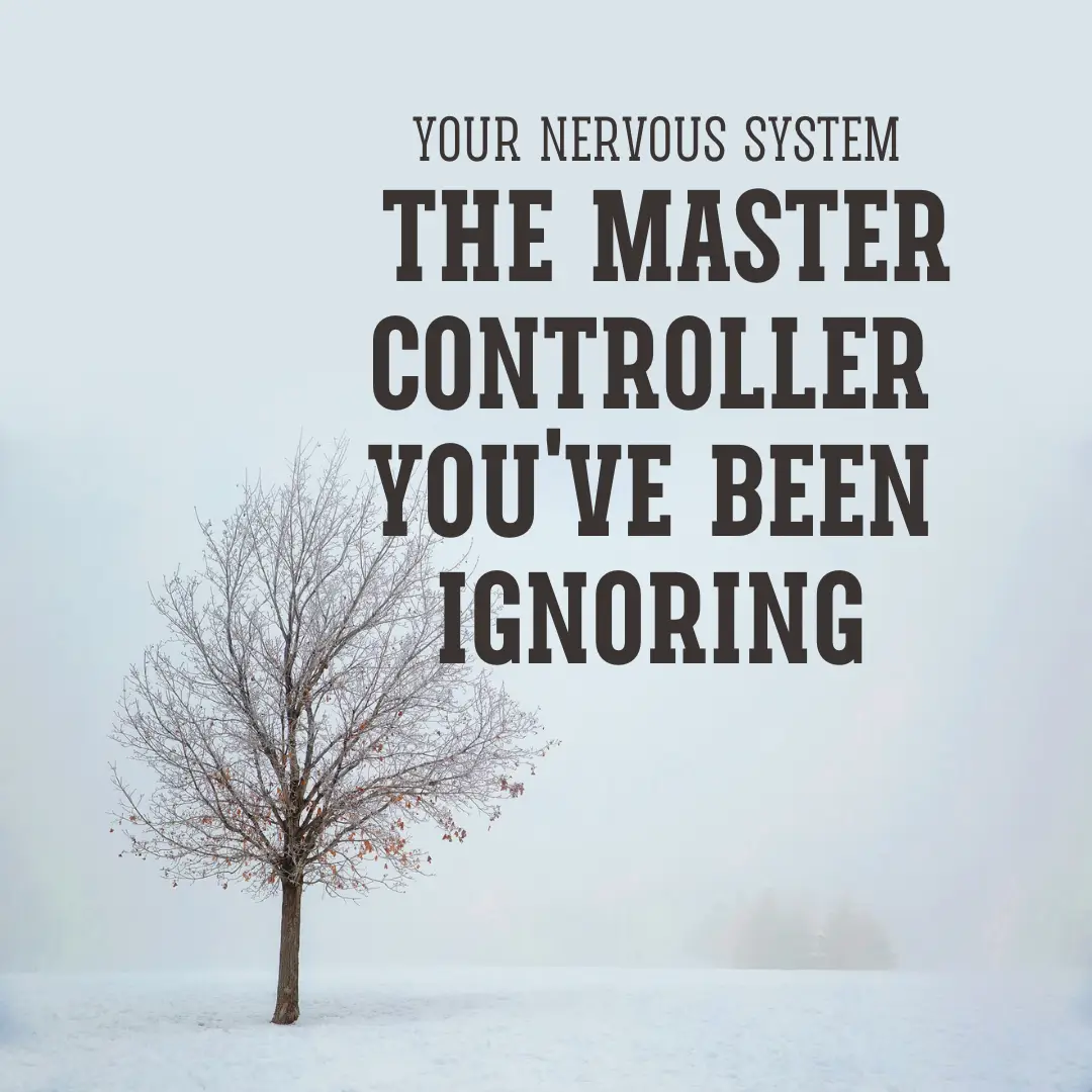 A leafless tree with a pale background